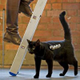 Illustration for article titled Black Cats Set To Advertise F.E.A.R. 2